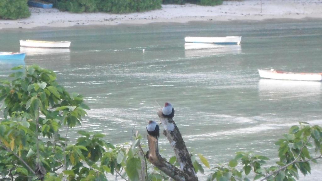 Bayview Villas Seychelles Anse Boileau Zewnętrze zdjęcie
